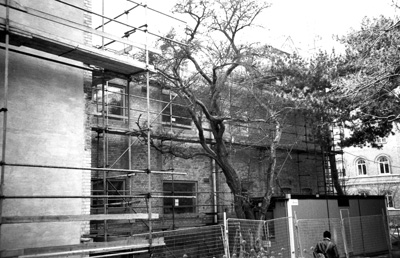 Kirurgens annex renoveras 4